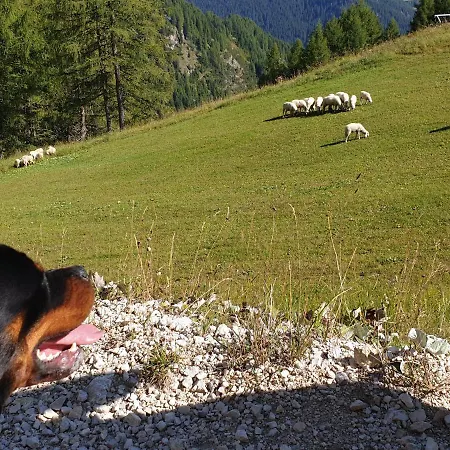 Heidi Апартаменты *